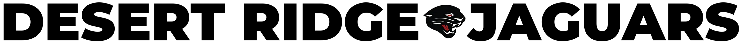 Desert Ridge Jaguars header