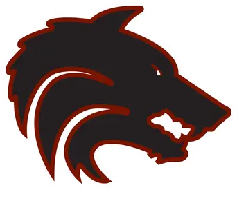Desert Mountain Wolves