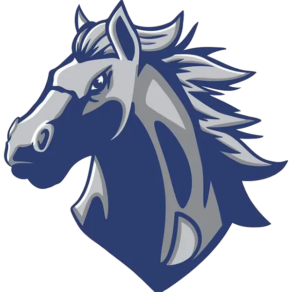 Dobson Mustangs Football