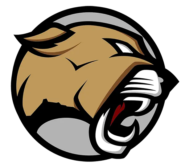 Red Mountain Mountain Lions